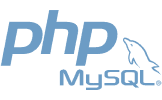 php-custom-programming-solutions-4